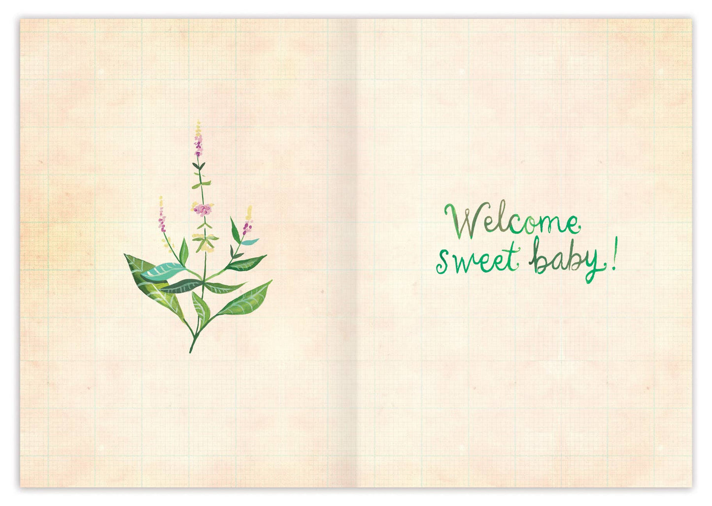 Belong Here Baby Card