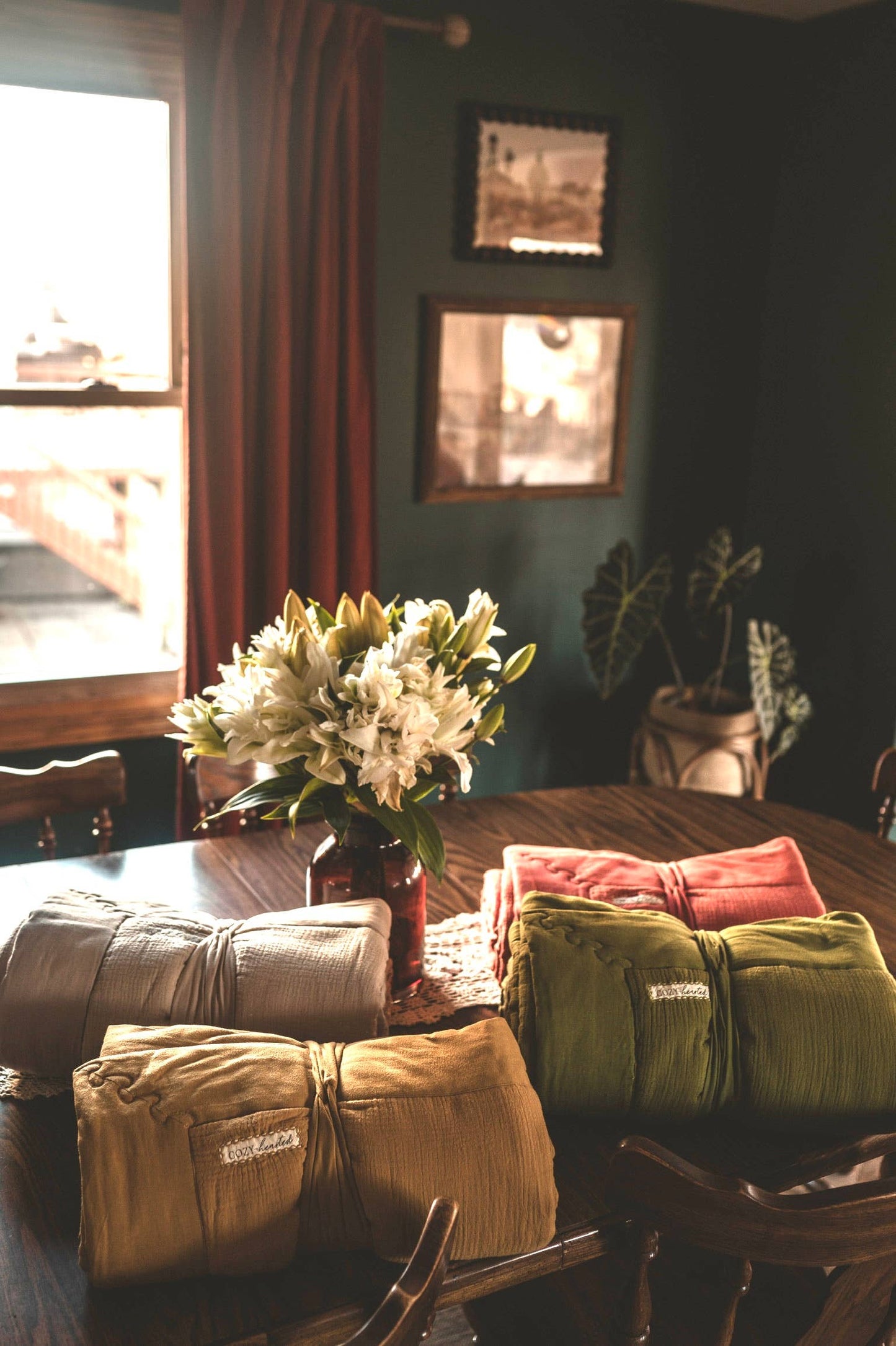 The Cozy – Ultra-Soft Organic Throw Blanket