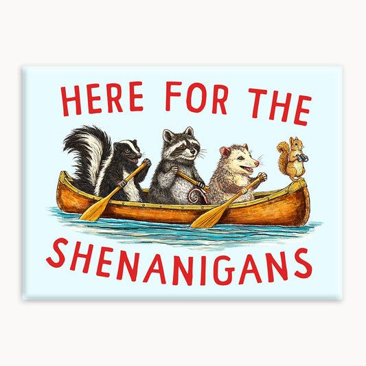 Shenanigans - Magnet