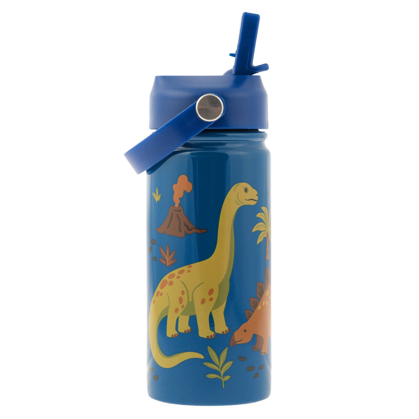 Insulated Stainless Steel Water Bottle with Handle