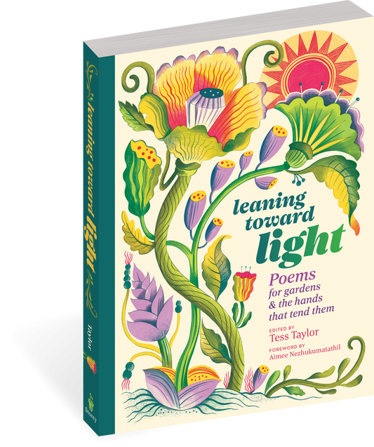 Leaning toward Light