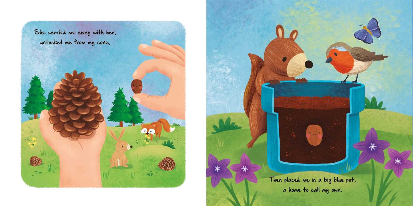 Nature Stories: Little Christmas Tree by IglooBooks