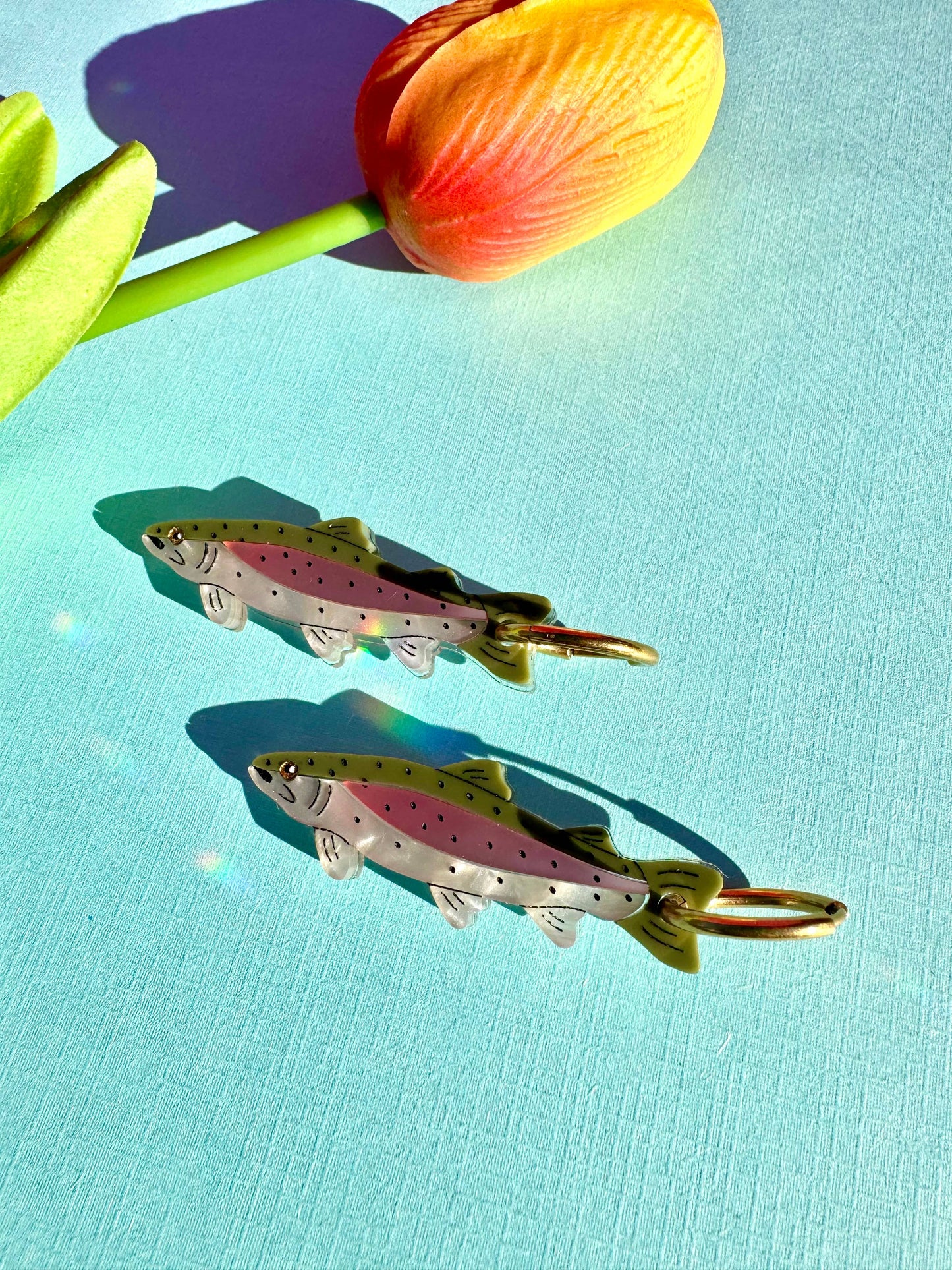 Rainbow Trout