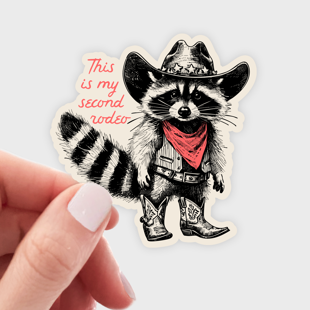 Second Rodeo Raccoon This is My Second Rodeo Sticker - raccoon, cowboy, western – Jollifrogs