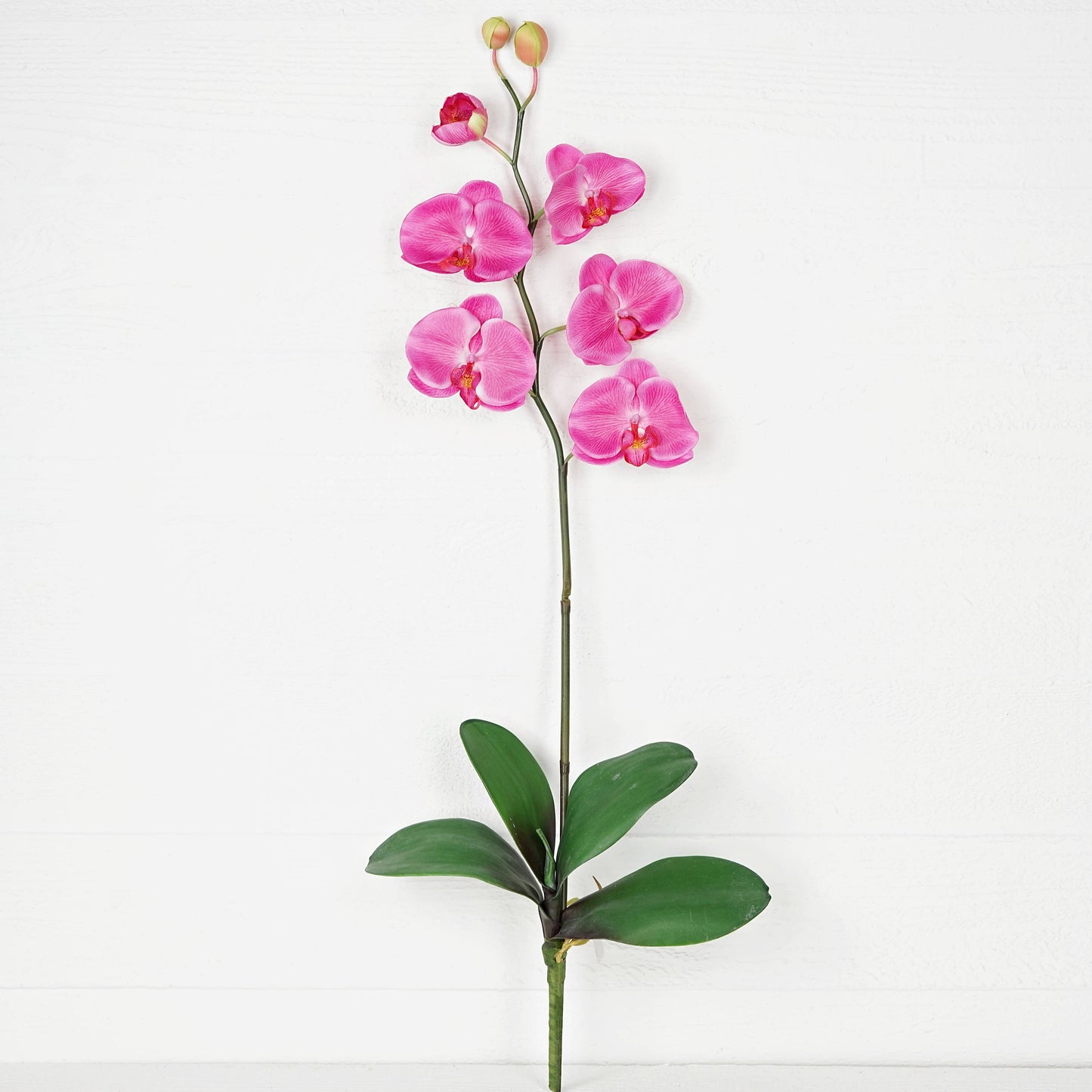 IT018PK- 34" Phalaenopsis orchid stem with leaves - Pink