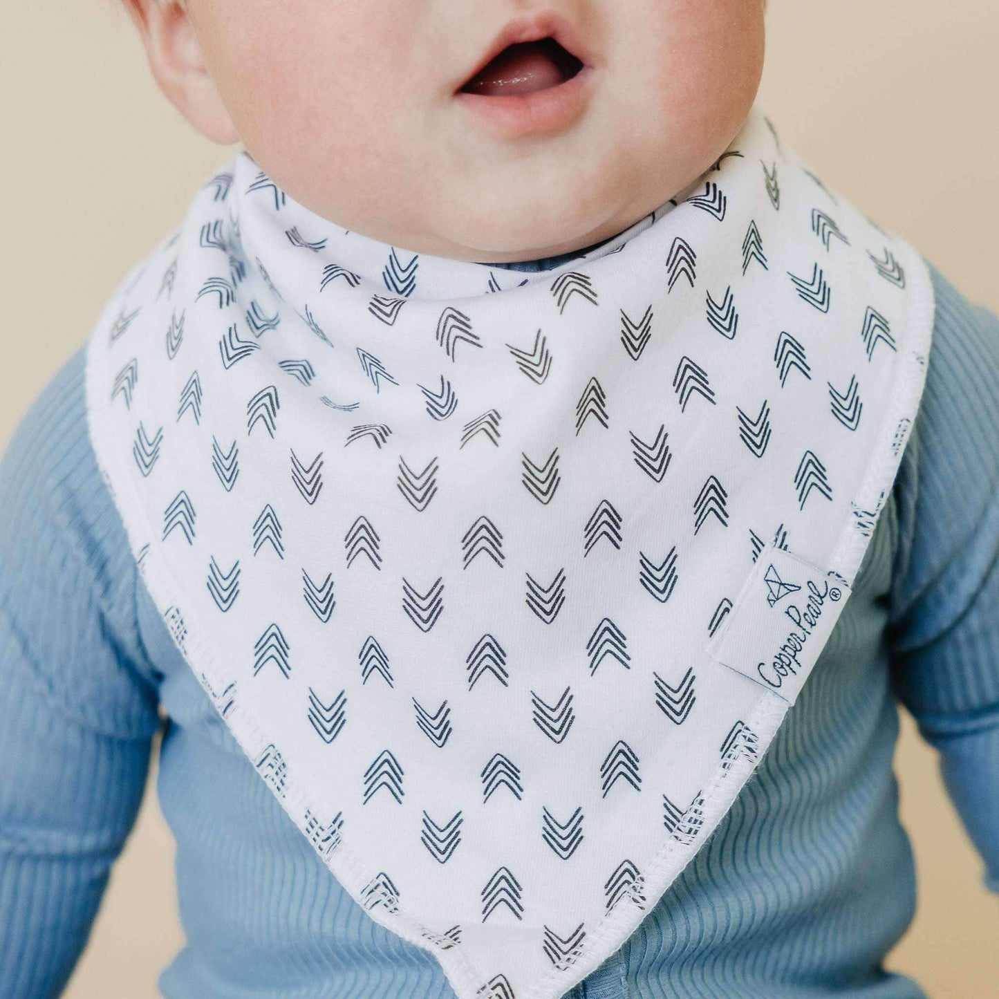 4 Pack Baby Bandana Bibs - Alta