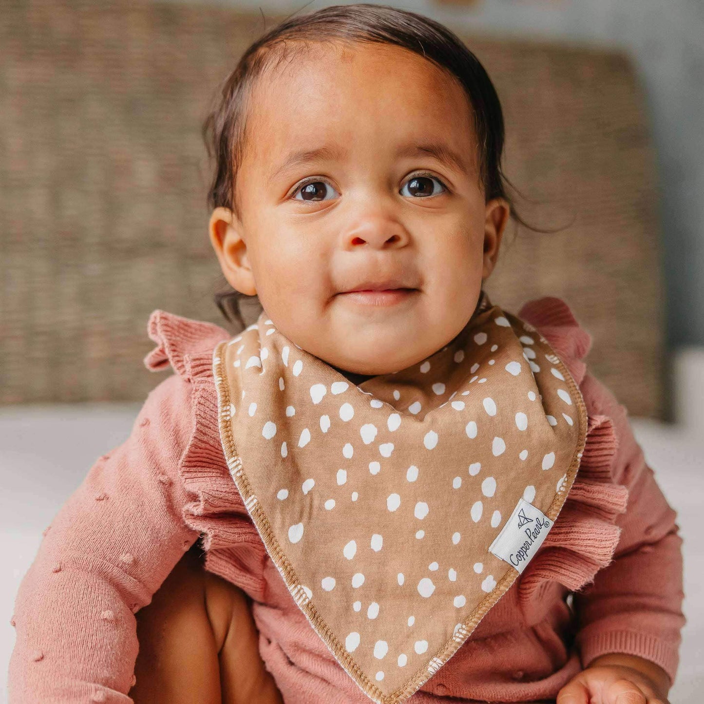 4 Pack Baby Bandana Bibs - Autumn