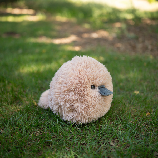 BHTB Fluffees Platypus 10"