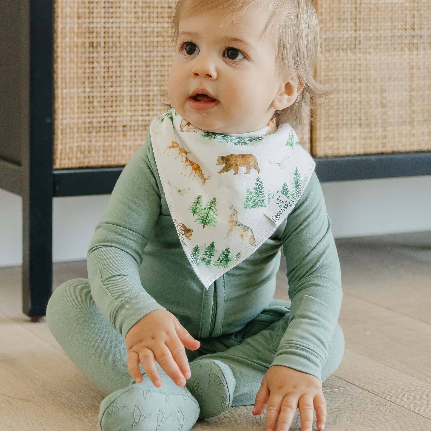 4 Pack Baby Bandana Bibs - Wilder